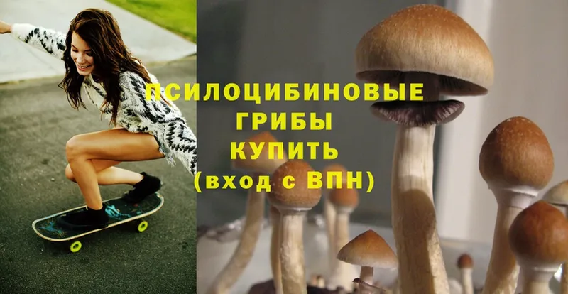 Псилоцибиновые грибы MAGIC MUSHROOMS  KRAKEN вход  Курлово 